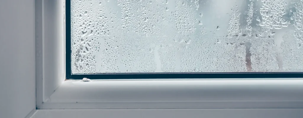 Condensation on a window